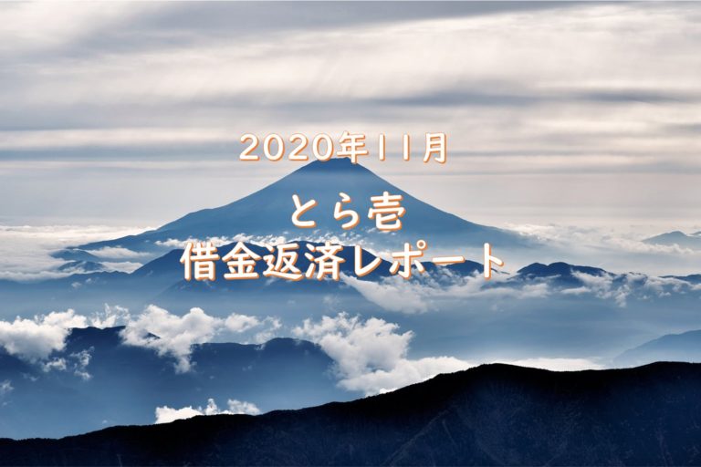 2020年11月レポート